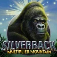 Silverback: Multiplier Mountain