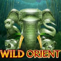 Wild Orient